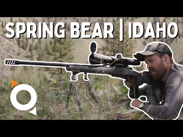 SPRING BEAR | IDAHO Public Land