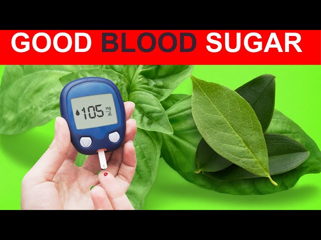 Amazing Leaves That Can Lower Your Blood Sugar Levels Fast