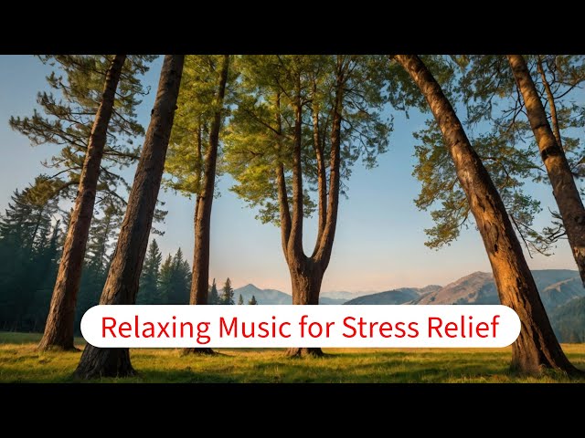 Relaxing Music & Breathing Technique for Stress Relief #relaxingmusic #piano #music #clam