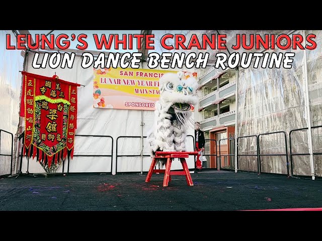 San Francisco Street Fair 2025 | White Crane Lion Dance Juniors Bench Routine