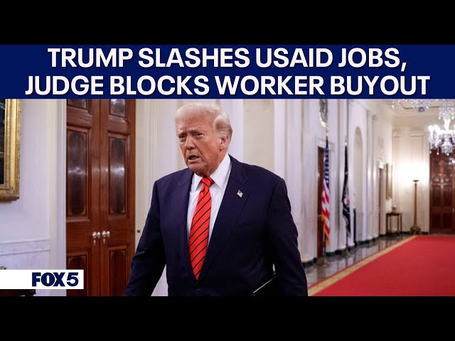 Trump to cut USAID jobs by 97%, judge blocks federal worker "buyout" | DC News Today