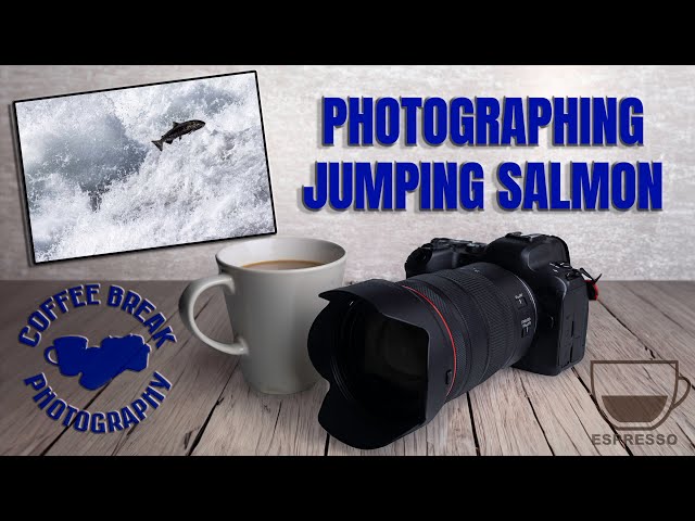 Photographing Jumping Salmon   how to make it as easy as shooting fish in a barrel