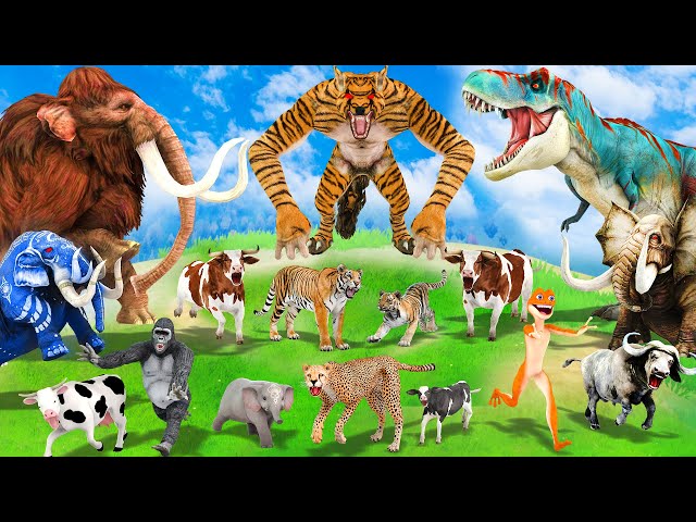 5 Mammoth Elephant Gorilla Buffalo vs Giant Tiger Wolf Bull Cheetah vs Dinosaur Attack Baby Elephant