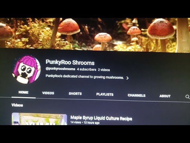 PunkyRoo DEDICATED Shroom Channel!!!