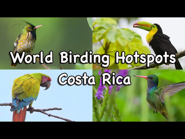 World Birding Hotspots - Costa Rica