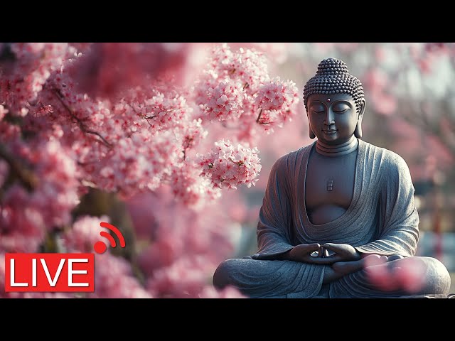 Manifest Love & Miracles  I Buddha Vibrations with Spiritual Healing Music