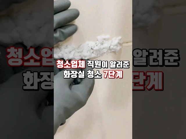 청소업체직원이 알려준 화장실청소 7단계