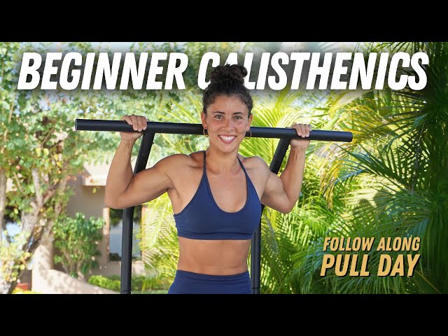 Beginner Calisthenics Pull Workout (Follow Along 45mins)