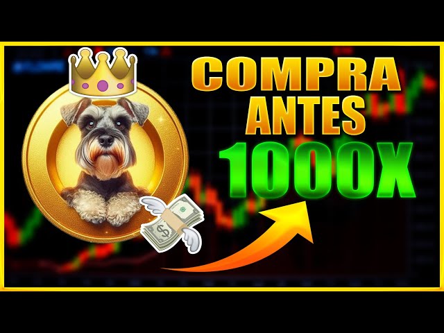 NUEVO! COMO Comprar PRIMERO EL TOKEN de Schnauzer Coin ! +SORTEO 10$