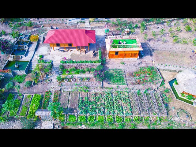 NEW Year NEW Life Living Off the Grid! Harvesting vegetables for sale, cooking, Lunar New Year