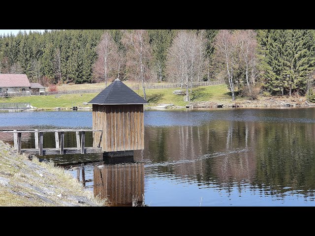 Bike & Hike Ysperklamm-Strecke 1. Teil (MTB)