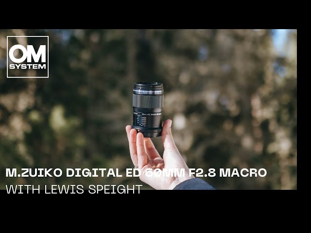 OM SYSTEM / Olympus M.Zuiko 60mm F2.8 Macro | Product Review