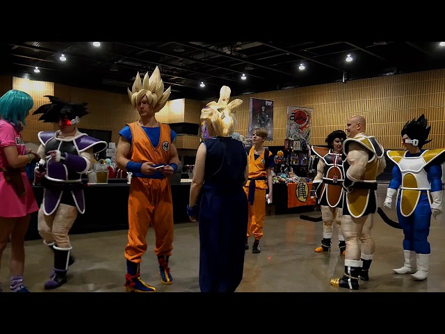 Dragonball Fusion Cosplay