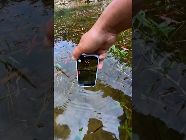 iPhone 16 Pro max under water Best Videography test #shorts #trending #technology