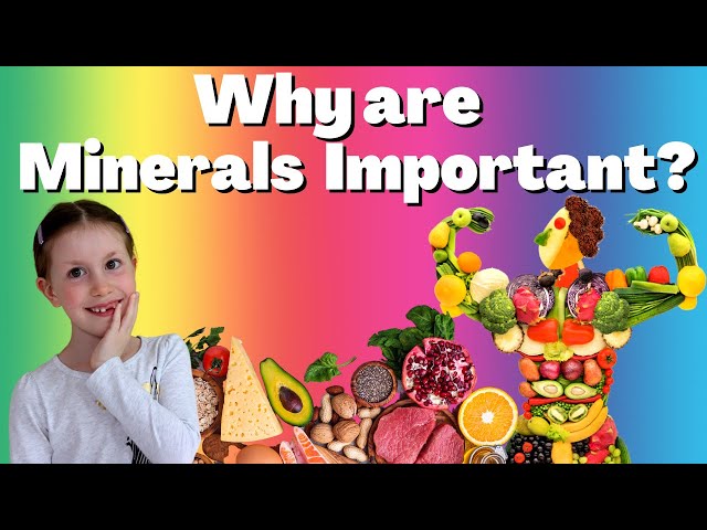 Why are Minerals important? | What are essential minerals?