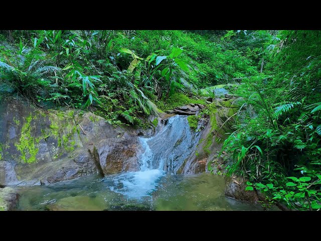 relaxing waterfall sound - beautiful nature sounds. (10 hours) white noise for sleeping, meditation