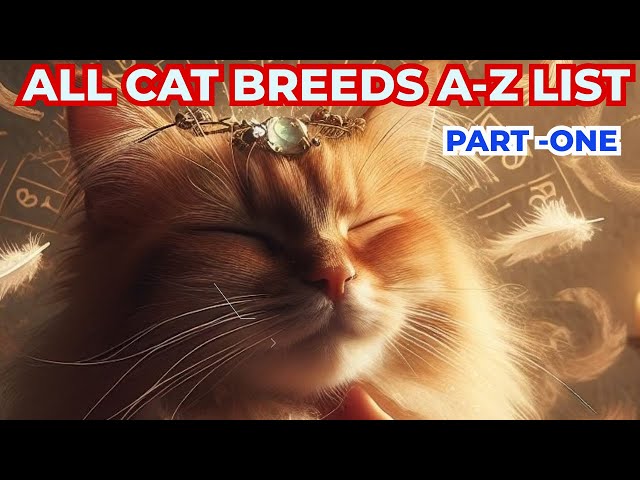 Cat Breeds Guide A - Z  List ( PART - 1) #catbreeds #cats