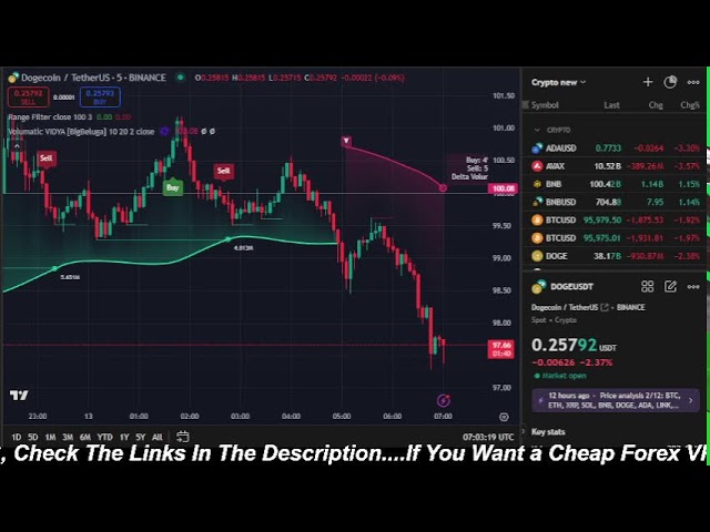 🔴Live 24/7 Dogecoin (DOGE) Trading | Buy & Sell Signals | Crypto