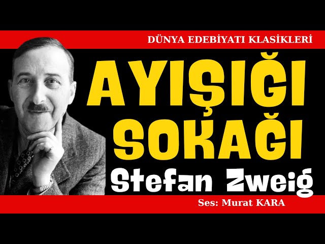 "Ayışığı Sokağı" Stefan Zweig- Dünya Edebiyatından Sesli Kitaplar