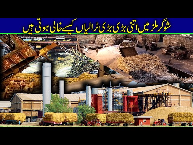 Inside the Sugar Mill | The Sweet Journey of Sugar Mill | Sugar Mill Video #rizwanpunjabi