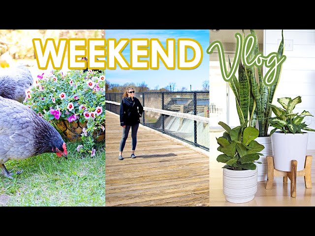 WEEKEND VLOG | Spring Flowers, Indoor Plants, & the Outdoors | Minnesota Life