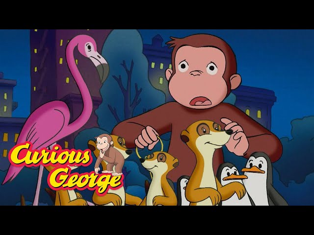 George Lets All the Animals Escape! 🐵 Curious George 🐵 Kids Cartoon 🐵 Kids Movies