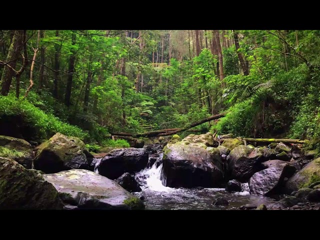 Sleep & Relax: Soothing River White Noise Experience