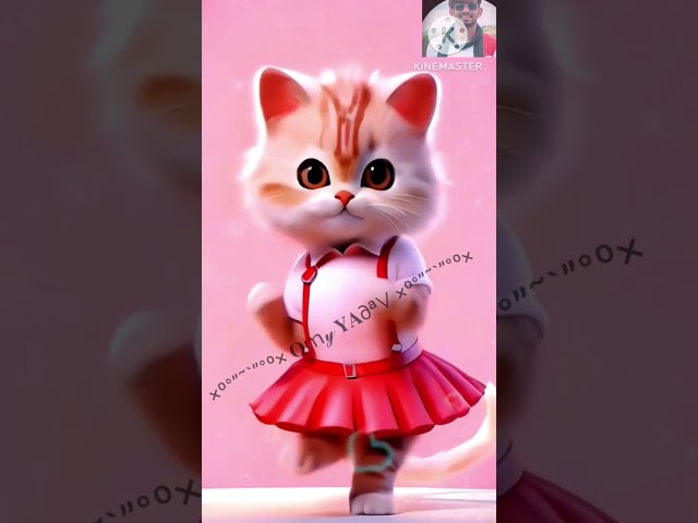 Cat dance video🥰 #funny #cute #cartoon #cat #catlover #shortsfeed #shorts @exlittlebeans