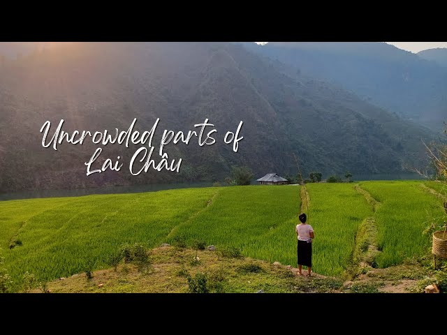 [Winter Edition] Exploring the Uncrowded Parts of Vietnam | Vietnam Road Trip Pt.11 (2019) #laichâu