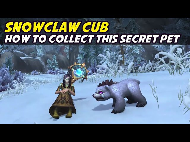 Snowclaw Cub - Secret Pet (Dragonflight)