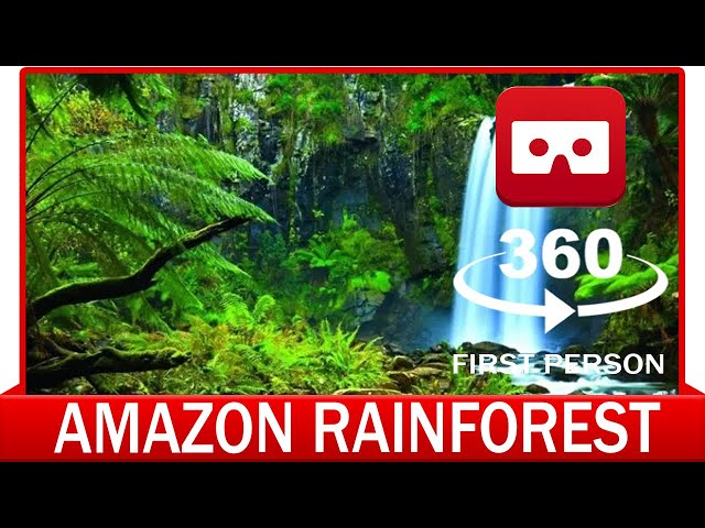 360° VR VIDEO - Amazon Rainforest - VIRTUAL REALITY 3D