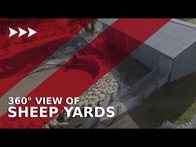 360° View of Arrowquip Sheep Yards