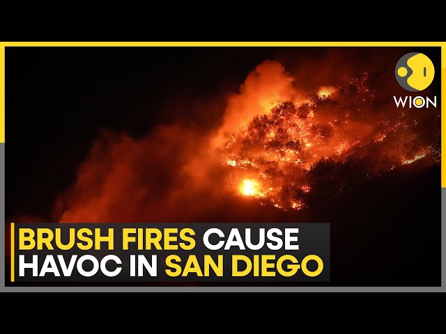 San Diego Wildfires Force Evacuations as Southern California Battles Deadly LA Infernos | WION