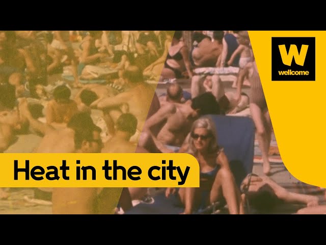 Investigating heat in London, New York and Paris | Wellcome