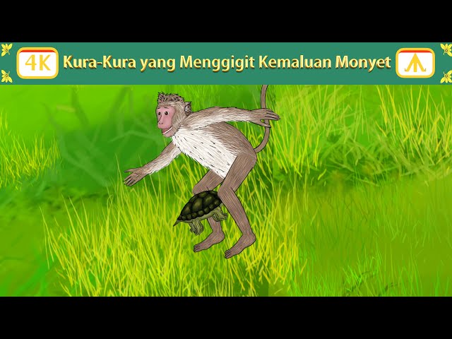 Kura Kura yang Menggigit Kemaluan Monyet | Airplane Tales Indonesian