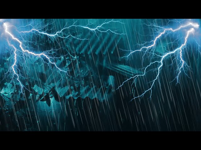 Beat Insomnia with Rain & Thunder Sounds on Metal Roof | Night Calm Solution