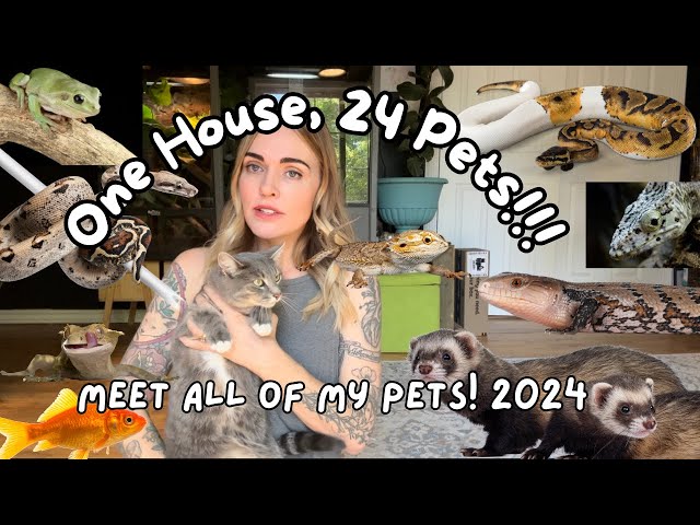 Meet All 24 of my Pets!!!