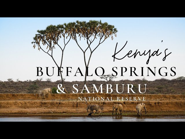 Buffalo Springs & Samburu National Reserve, one of the famous Safari destinations in East Africa!