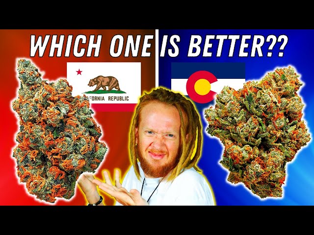 🟢California Vs Colorado: Who Has The BEST Weed?