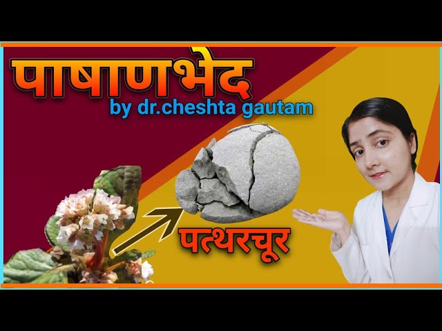 what is PASHANBHED & it's external USES (bahya upyog) by dr.cheshta gautam