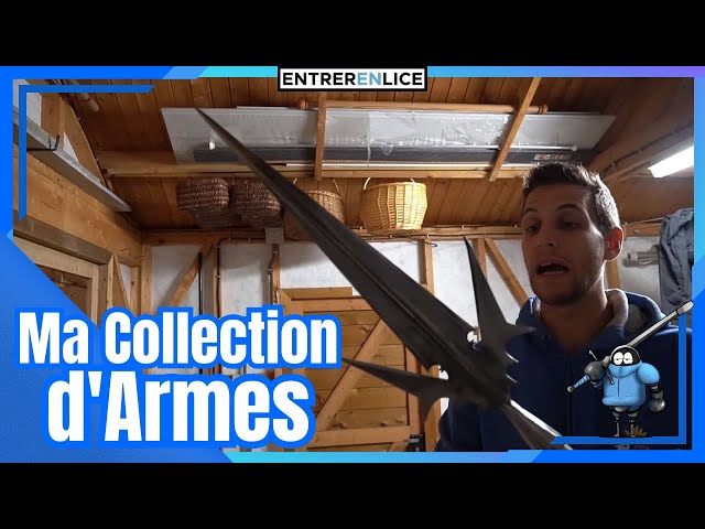 MA COLLECTION D'ARMES ! - Derrière la Lice