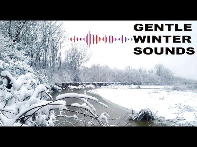 Gentle River Ambience | Snowy Relaxing Nature Sounds for #sleapping