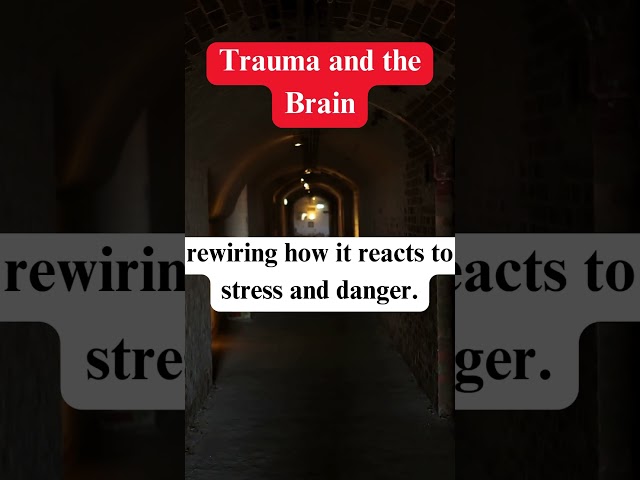 How Trauma Affects the Brain in 6 Seconds 🧠