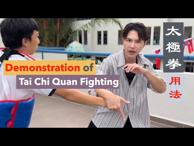 Demonstration of Classic Taiji quan fighting 古典太極拳（楊式 衛式（八步））用法