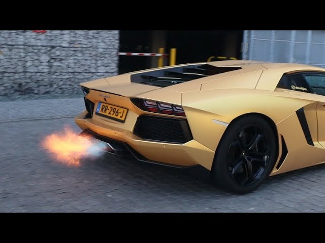 Lamborghini Aventador V12 Couldn’t Stop Revving!