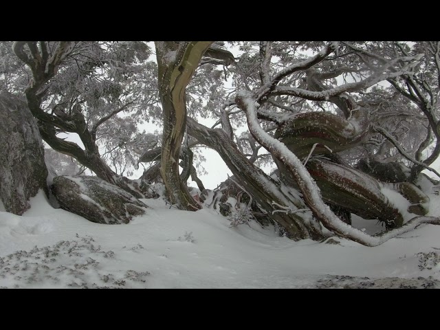 360 Video sitting in a blizzard with beautiful surroundings