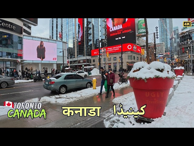 Toronto After the Season’s Heaviest Snowfall - Canada 4K Urdu vlogs