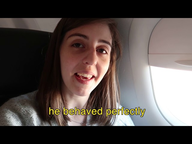 flying Frontier with a large breed service dog & MECFS | VLOGTOBER 2018