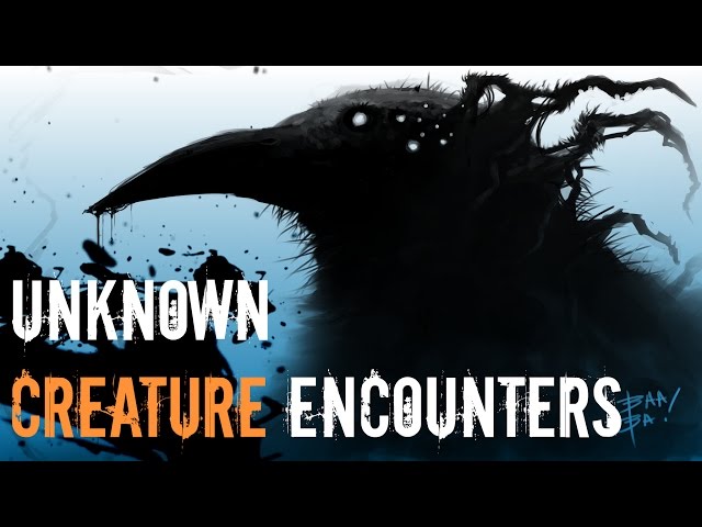 4 Deeply Disturbing Unknown Cryptid Stories from Reddit