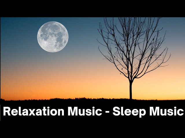 Relaxation  Music - Sleep Music | Calm And Peace | Nature And Life | Inspiration Music